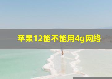 苹果12能不能用4g网络