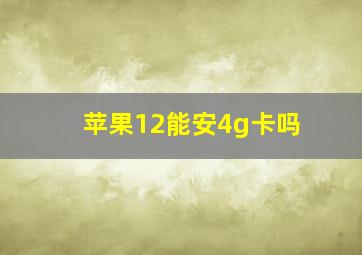 苹果12能安4g卡吗