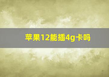 苹果12能插4g卡吗