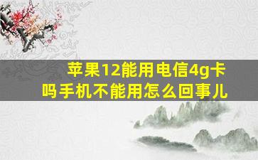 苹果12能用电信4g卡吗手机不能用怎么回事儿