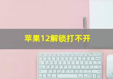 苹果12解锁打不开