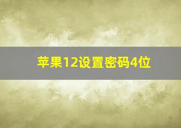 苹果12设置密码4位