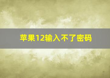 苹果12输入不了密码