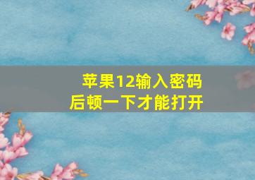 苹果12输入密码后顿一下才能打开