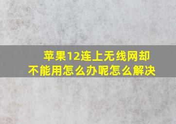 苹果12连上无线网却不能用怎么办呢怎么解决