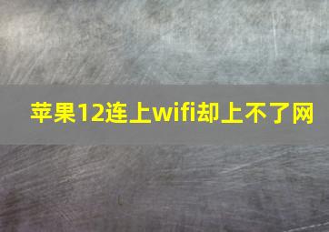 苹果12连上wifi却上不了网