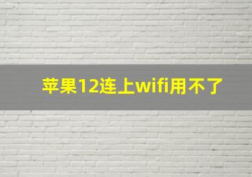 苹果12连上wifi用不了