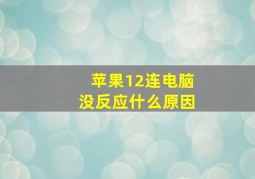 苹果12连电脑没反应什么原因