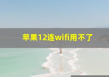 苹果12连wifi用不了