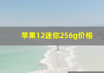 苹果12迷你256g价格