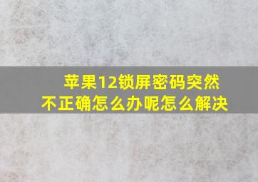 苹果12锁屏密码突然不正确怎么办呢怎么解决