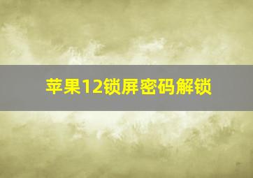 苹果12锁屏密码解锁