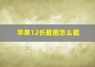 苹果12长截图怎么截