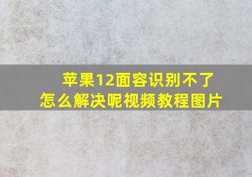 苹果12面容识别不了怎么解决呢视频教程图片