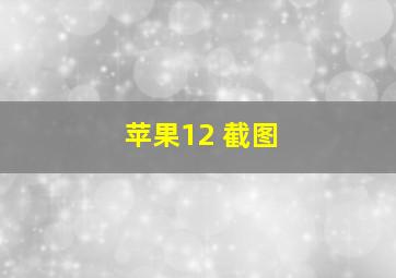 苹果12 截图