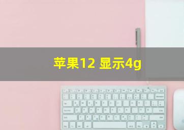 苹果12 显示4g