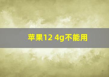 苹果12 4g不能用