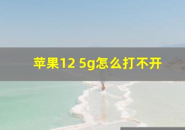 苹果12 5g怎么打不开