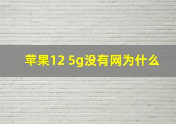 苹果12 5g没有网为什么