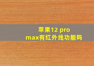 苹果12 pro max有红外线功能吗