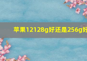 苹果12128g好还是256g好