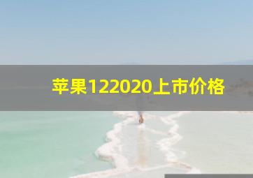 苹果122020上市价格