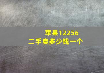 苹果12256二手卖多少钱一个