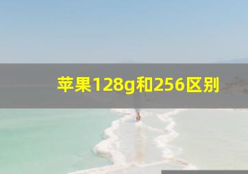 苹果128g和256区别