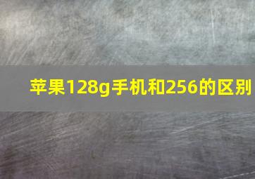 苹果128g手机和256的区别