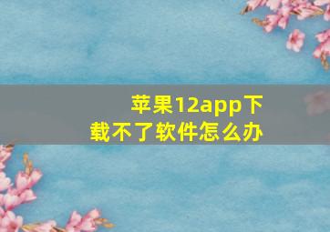 苹果12app下载不了软件怎么办