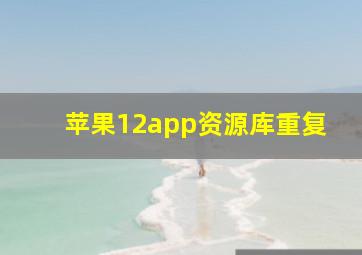 苹果12app资源库重复