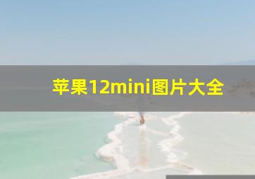 苹果12mini图片大全