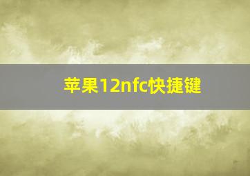 苹果12nfc快捷键