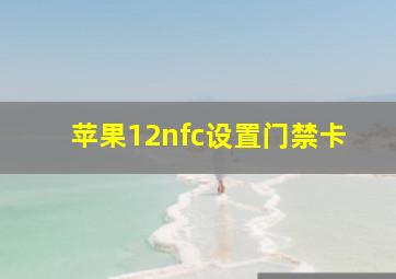 苹果12nfc设置门禁卡