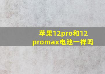 苹果12pro和12promax电池一样吗