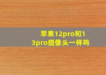 苹果12pro和13pro摄像头一样吗