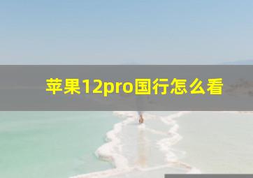 苹果12pro国行怎么看