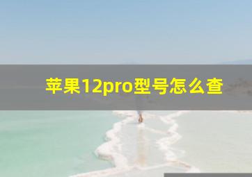 苹果12pro型号怎么查