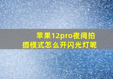 苹果12pro夜间拍摄模式怎么开闪光灯呢