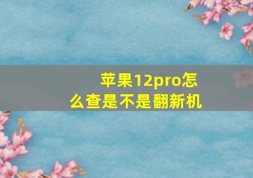 苹果12pro怎么查是不是翻新机