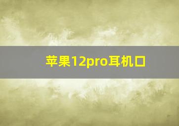 苹果12pro耳机口