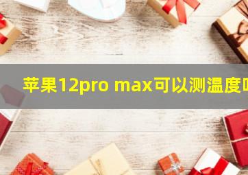 苹果12pro max可以测温度吗