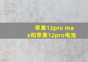 苹果12pro max和苹果12pro电池