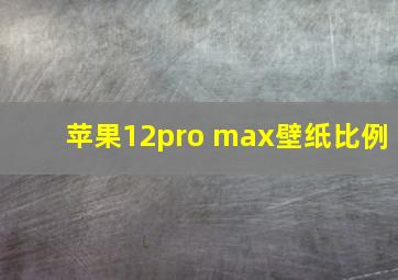 苹果12pro max壁纸比例