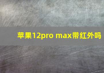 苹果12pro max带红外吗