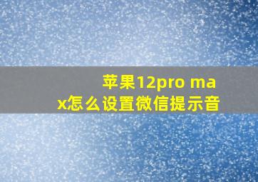 苹果12pro max怎么设置微信提示音