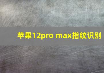 苹果12pro max指纹识别