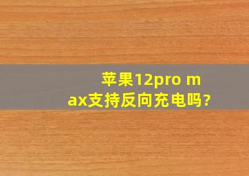 苹果12pro max支持反向充电吗?