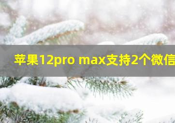 苹果12pro max支持2个微信吗