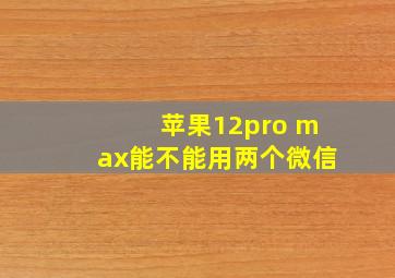 苹果12pro max能不能用两个微信